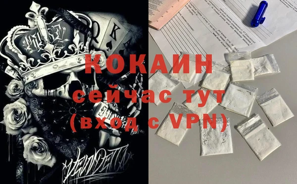 дживик Краснослободск