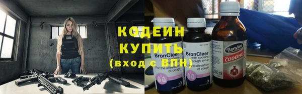 дживик Краснослободск