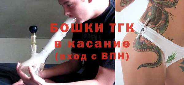 дживик Краснослободск