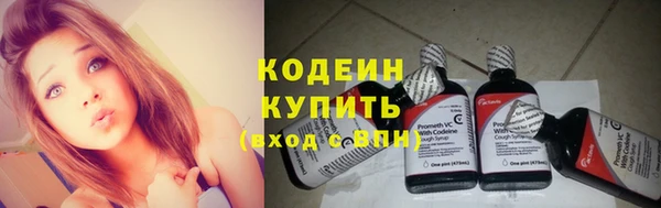 дживик Краснослободск