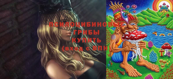 дживик Краснослободск