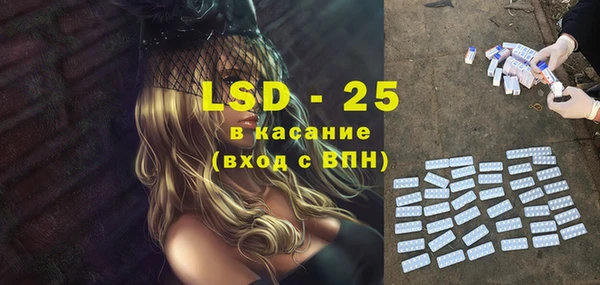 дживик Краснослободск