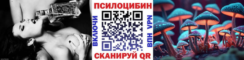 Купить где  Заречный  Галлюциногенные грибы прущие грибы 